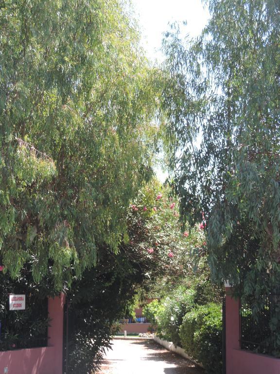 Alexandra Spingou Apartments Dassia  Exterior photo